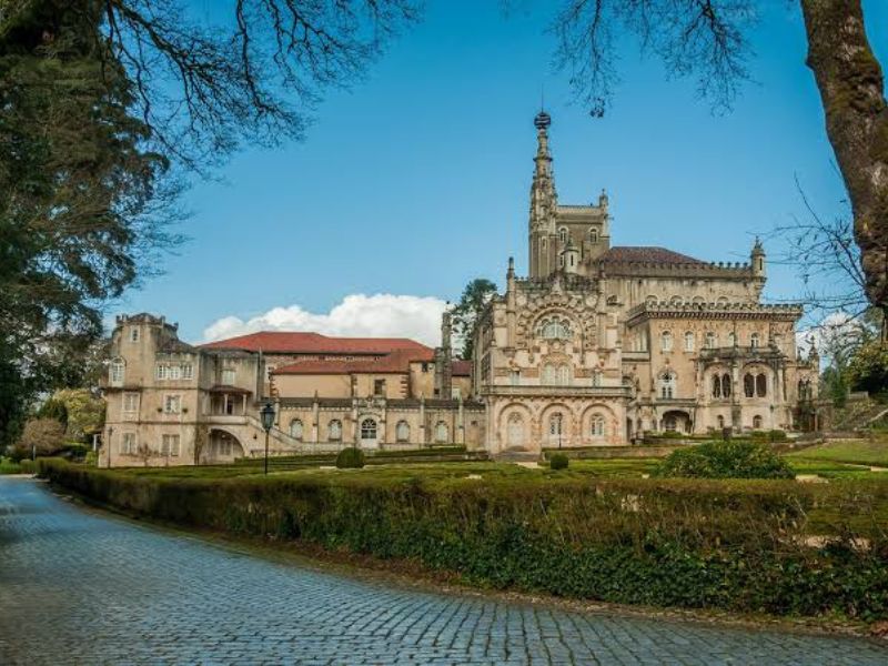 Fundação Mata do Bussaco alcançou em agosto o melhor resultado em 17 anos de existência