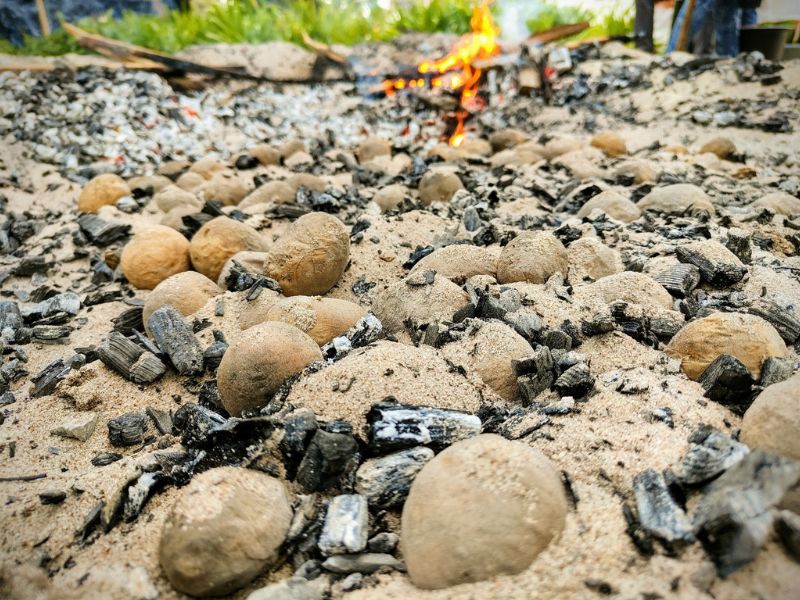 Cantanhede: Praia da Tocha volta a ser palco do Festival da Batata Assada n’Areia e Sardinha Assada(...)