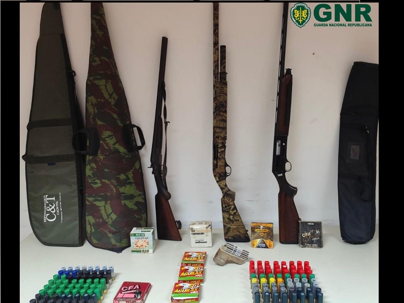 Lourosa – Detidos por detenção ilegal de arma de fogo