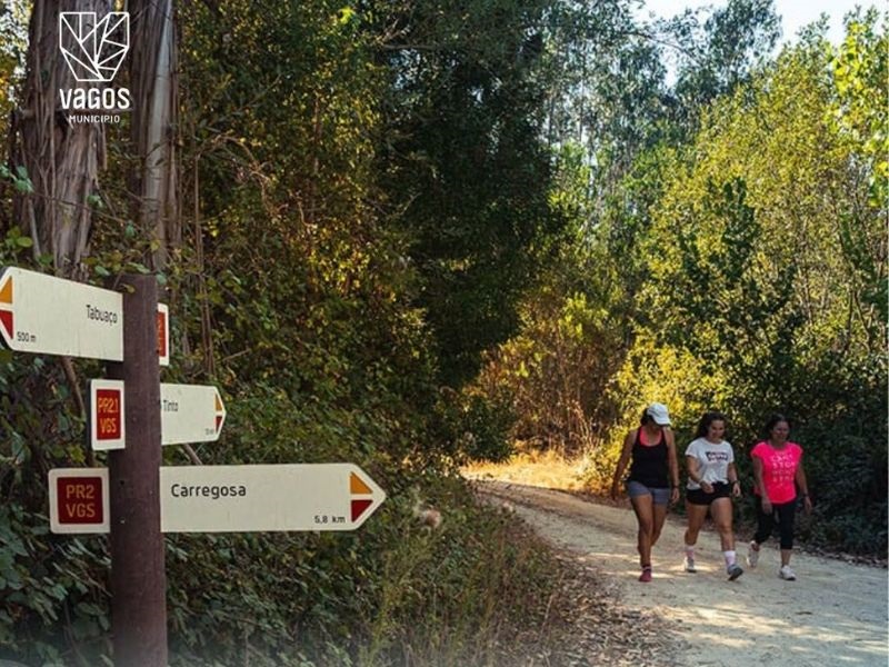 “Vagos a Caminhar" regressa para descobrir o Trilho de São Martinho