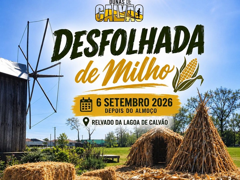 Vagos: Calvão promove desfolhada de milho no próximo domingo