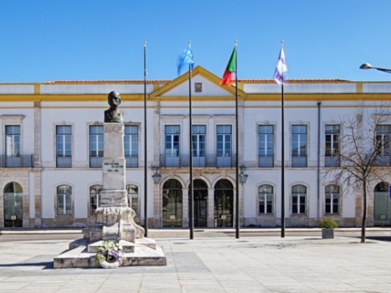 Município de Anadia lança apoios no valor de meio milhão de euros para mitigar efeitos da pandemia(...)