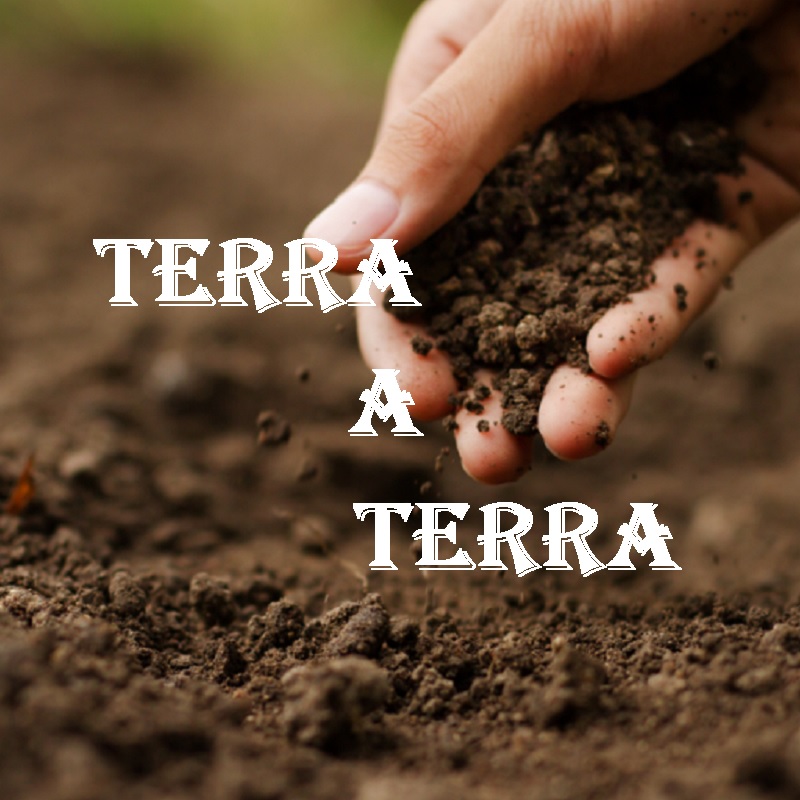 Terra a Terra - 14out2025