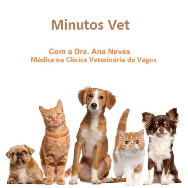 Minutos Vet 16set2026